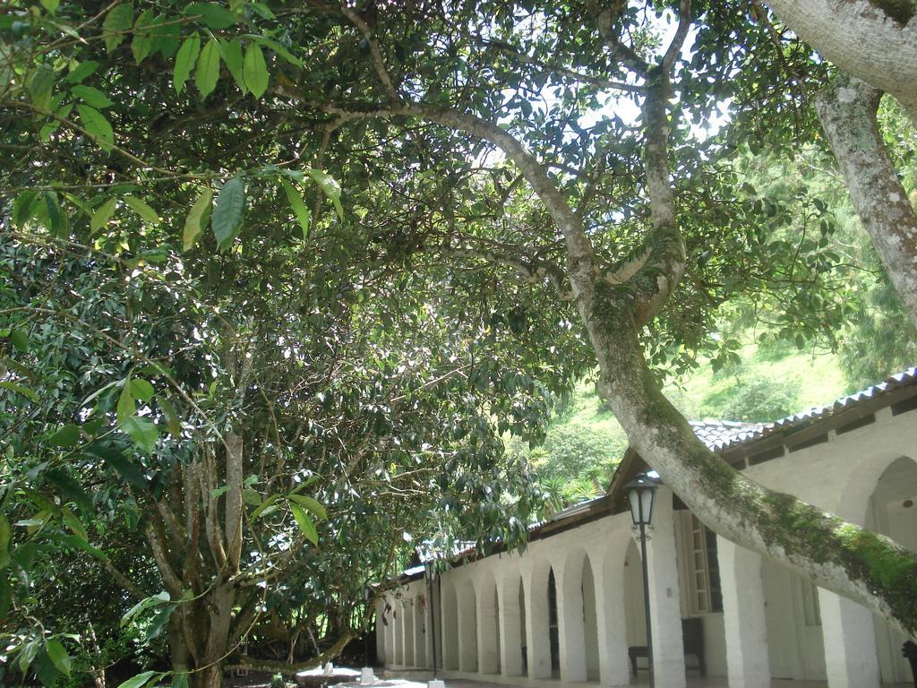 Hosteria La Eterna Primavera Huigra Exteriér fotografie
