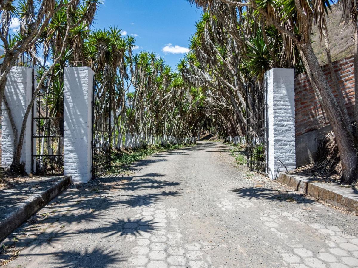 Hosteria La Eterna Primavera Huigra Exteriér fotografie